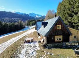 Almhütte Ödenhübl