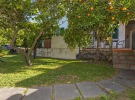 Case Dell'Eucalyptus