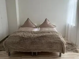 Cozy Apartment Herning Center- Pedestrian Street