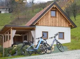 Glamping Podgoro with private hot tube - Rogatec