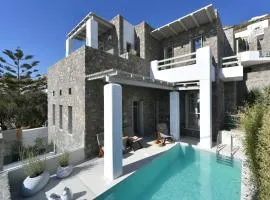 Tourlos Seaview Villa Mykonos