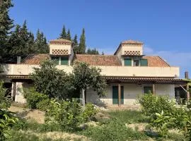 Tenuta baronale jò - sant'elia 4