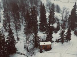 TogetherNest - Cedar, кемпінг у місті Mătişeşti