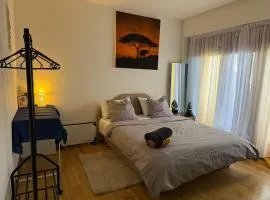 chambre chez habitant pied du lac