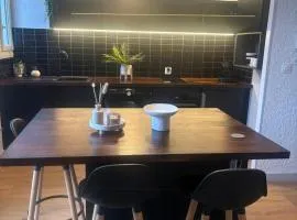 Arcachon Cœur de ville Appartement lumineux