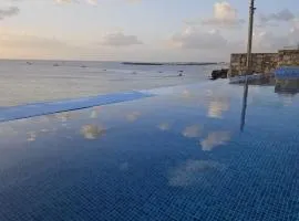 Maio Sweet Tartaruga