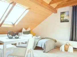 Bamberg 03 - Apartment für Firmen