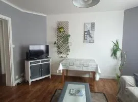 bel appartement spacieux