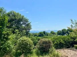 The Standard Inn Onomichi-Ikuchijima