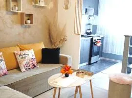 Apartman "Paris"