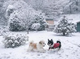 Ruhige Winterwohnung Innenhof mit Parkplatz Hunde willkommen in Bad Muskau Nähe Schloss, Waldeisenbahn, Hermansbad, UNESCO Geopark, Nähe polnischer Markt, Top Lage für Ausflugsziele zum Wandern oder Radfahren