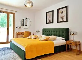 Samba superbe appartement terrasse vue montagne