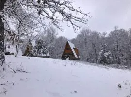 Ozark A-Frame -Dogwood Den