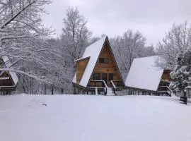 Ozark A-Frame-Black Gum Getaway