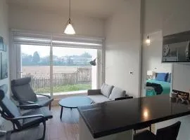 Departamento con patio Isla Teja