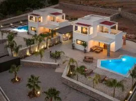 Luxury Amani Villa