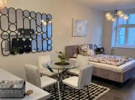 Gorgeous apartment in center