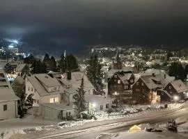 Braunlage Vintage Quartier - Haus bis 16 Personen - 8 Zimmer WG