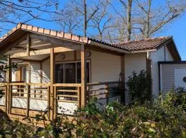 L'Azur de La Cigale - Azur