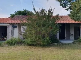 Villa 'L'Andélu' - Landes