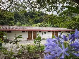 Las Tangaras Reserve