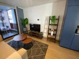 Fully Furnished 2 Bedroom Apartment in Greystar Somma