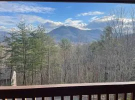 Blushing Bear Stunning Views