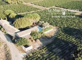 Le Mas des Vignes en Drome provençale