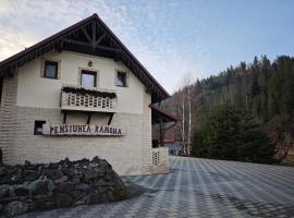 Pensiunea Ramona, Hotel in Suceviţa