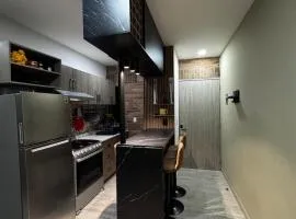 VICA condominium just 10 minutes from downtown