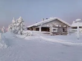 Holiday Home Kanerva 1c by Interhome