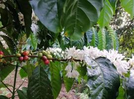 Pick-A-Brew Camp, hotell i Phrae