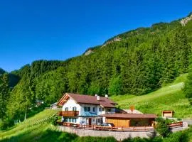 Dolomites Chalet CESA VEDLA -nature & silence