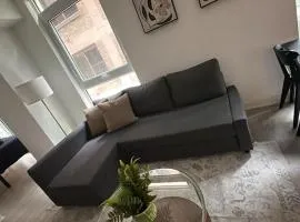 Condo with grey sofa bed