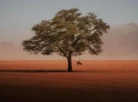 RUM ELEIAN lUXURY CAMP