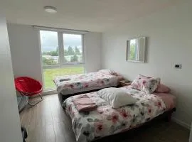 Departamento Estudio Isla Teja Vista Hermosa Humedal