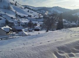 Pensiunea Casa Fierarul din Bucovina