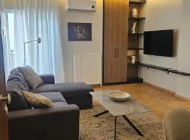 Luxury apartment in city center