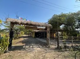 Hostel Jungle Beats