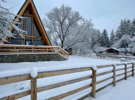 Old Nut Cabin, hotel v destinaci Teşila