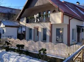 Садиба У Олега-родинний двір