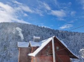 Pensiunea Cabana Viselor ,Apuseni, hotel em Vadu Moţilor