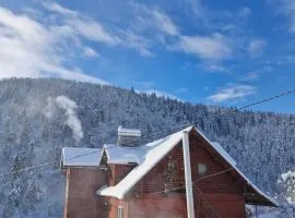 Pensiunea Cabana Viselor ,Apuseni