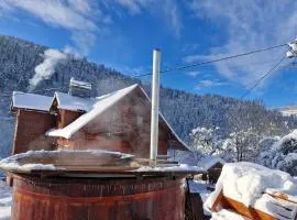 Pensiunea Cabana Viselor ,Apuseni