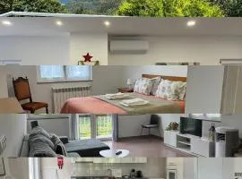 Casa de Casarelhos AL T2 - "Gerês" - AC - Lareira com recuperador de calor e lenha