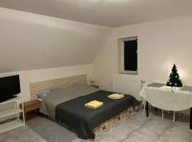 Moderní podkrovní garsonka s hezkým výhledem