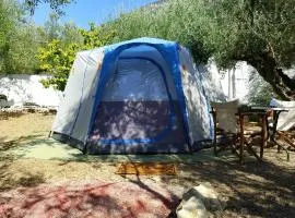 Barreira beachfront Tents 9