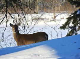 "Ecológico con Piscina Climatizada" y Sauna!!, hotel i Riaza
