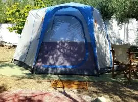 Barreira Beachfront Tents10