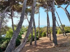 Cala Lupo, 400m dalla spiaggia